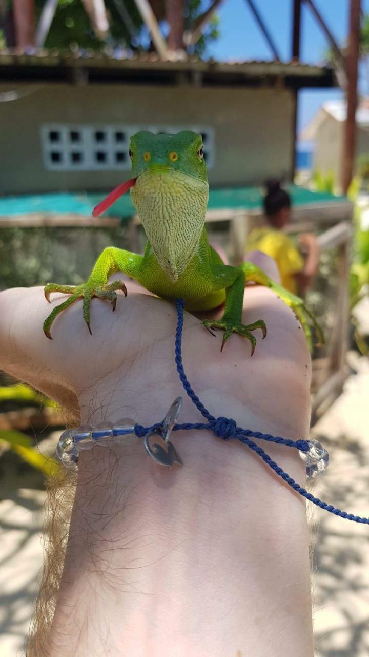 Blue Bay Resort Port Vila Zewnętrze zdjęcie